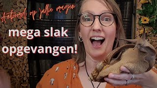 Mega slak opgevangen en jullie vragen beantwoorden