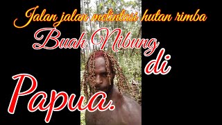 Panjat Pohon Ambil Buah Gagar di Papua.