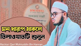 কেরাত শিখতে দেখুন | মন খারাপ থাকলে শুনুন | Quran Tilawat | Qari Mohiuddin Bin Hannan ahp tv