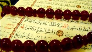 Reda Abdul Muhsin Surat An Nisa (Chapter 04) - Quran Recitation