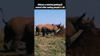 Rhino🦏getting scared🧔😱 | rhino video | rhino running speed | @Wildshikaari007 | #shorts