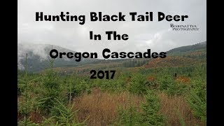 Evening Black Tail  Deer Hunting Oregon