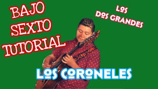 Los Coroneles - Los Dos Grandes (TABS Bajo Quinto Tutorial)