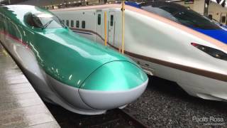 Shinkansen 'Bullet Trains' at Tokyo Station