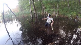 Walking through a Swamp to find a Secret Pond