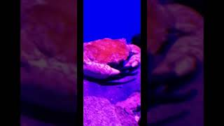 tour on sea aquarium part 2