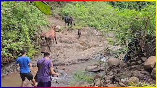 Nos fuimos a dejar las novias por las montañas.