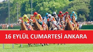 16 EYLÜL 2023 CUMARTESİ ANKARA AT YARIŞI TAHMİNLERİ VE YORUMLARI