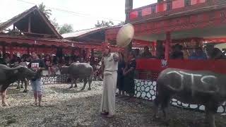 PASAR KERBAU pada RITUAL ADAT RAMBU SOLO' TERBESAR DI LUWU PACCERAKAN