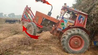 Belarus tractor Power 💪 | Tractor 🆚 Annimal