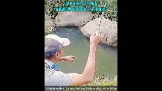 Mancing Wader Babon Ganas / Fishing Big Barb Ferocious #Shorts