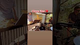 I Love You//Cole Porter #shorts #jazz #vibraphone #percussionist #miltjackson