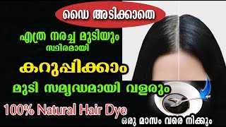 ഈ പച്ചില ഉണ്ടോ വീട്ടിൽ?? മുടി കറുക്കാനും താരൻ മാറി തഴച്ചു വളരും 💯/hair care /malayalam