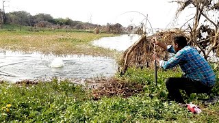 Best Fishing 🎣 video Rohu Fish Hunting unique style Catching Krishna River