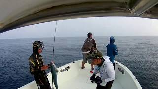 Rainbow Runner Maldives Fishing 2018