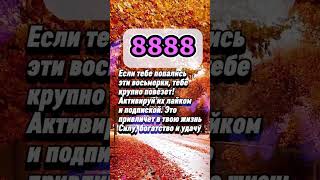 Долгожители женщины по знаку зодиака #гороскоп #знакизодиака #астрология #astrology