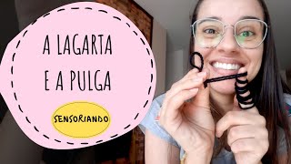 Sensoriando: A lagarta e a pulga (história infantil)