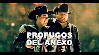 Profugos del Anexo - Letra