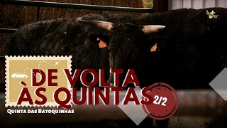 De volta às quintas: TERRAS PERDIDAS 2/2