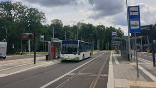 [WNĘTRZE] PKS Szczecin, linia 227 - Mercedes-Benz O530 #10643