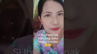 Selvi Dulu Si Ibu Peternak Babi| Selamat Hari Minggu Salam Sehat Semuanya