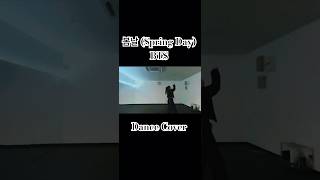 BTS "봄날 (Spring Day)" Dance Cover