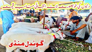 Turkey dumba latest price on gondal mandi|gondal bakra mandi latest update|Badwal Desi vlog|