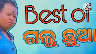 Best of Galu chua// Odia comedy video// viral odia comedy status//