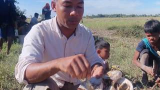 Catching Fish At Small Pond In Siem Reap Cambodia