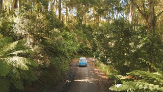 Living the Solo Travel Van Life: A Day in the Life of a Restored 1985 Volkswagen Kombi in Australia