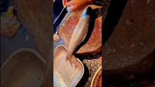 wow fast fish rohu cutting 🔥 amazing rohu  fish cutting !#short #shorts #fishing #youtubeshorts