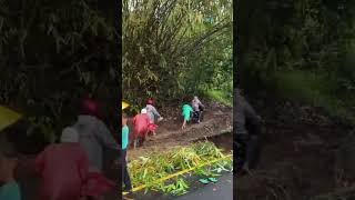 KONDISI JLN PANGANDARAN PUTUS TOTAL RUSAK PARAH KETIKA LONGSOR.#shorts