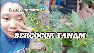 MATAKU KOK BISA GITU⁉️ BERCOCOK TANAM DI KEBUN SEBELAH RUMAH‼️