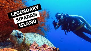 Sipadan - Scuba diving di pulau paling LEGEND Semporna