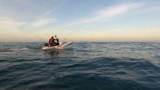 XTR SKIFF no mar de Sines  #skiff #xtrskiff #skiffportugal