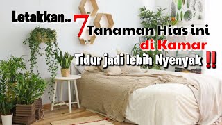 7 Tanaman Hias yang Cocok Untuk Kamar Tidur || Unik hingga Bermanfaat untuk Kesehatan Pernafasan