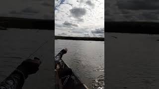 #peixe #pescando #piau pescaria no goias