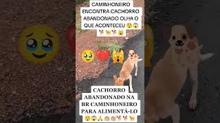 Caminhoneiro encontrou um cachorro abandonado na estrada #shorts