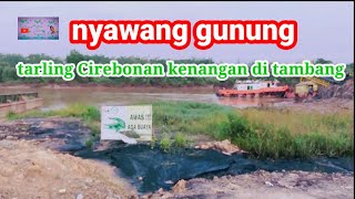 NYAWANG GUNUNG. TARLING CIREBONAN INDRAMAYU TENGDUNG // NYAWANG GUNUNG. // LOKASI TAMBANG PT BMK