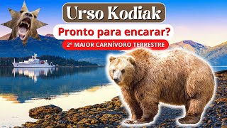 Urso Kodiak: O Segundo Maior Carnívoro Terrestre vivo! (Ursus Arctos Middendorffi)