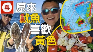 🎣🛥️🦑成個 MORETON BAY 遊花園釣墨魚 [粵語對白]