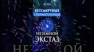 Бессмертные сперматозоиды. Неземной экстаз. #shorts #бессмертный #наслаждайсяжизнью #вселенная