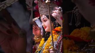 maa vaishno Devi temple special #shortvideo#status #viral #jaimatadi #youtubeshorts #viralshort #yst