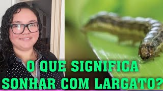 O QUE SIGNIFICA SONHAR COM LARGARTO,GAFANHOTO E MOSCAS?