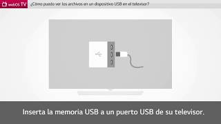 Soporte LG España - Ver archivos de pendrive o disco duro USB en SmartTV LG