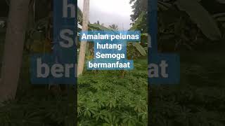 Amalan pelunas hutang semoga bermanfaat #ceramah1menitmenyentuhhati #quotes#virslshorts