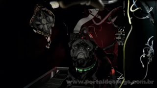 Microsoft Visual Studio 2010 - Comercial de TV - Propaganda com Pug