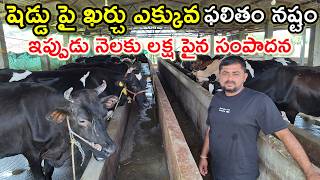 30 వేలో ఆవును తయారు చేయడం కష్టం SLN dairy farm @MalleshAdla