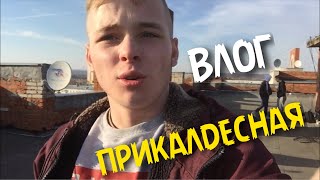 ВЛОГ: ПРИКАЛДЕСНАЯ ПРИЧЕСКА!