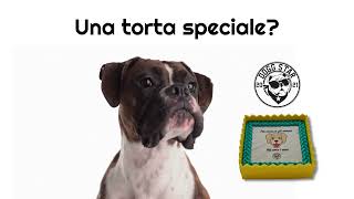 Una torta speciale?